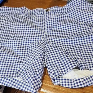 Old Navy Blue and White Everyday Shorts